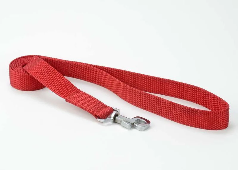 Kennel Premium Nylon Lead (W = 1 1/4" x L = 4 Feets)